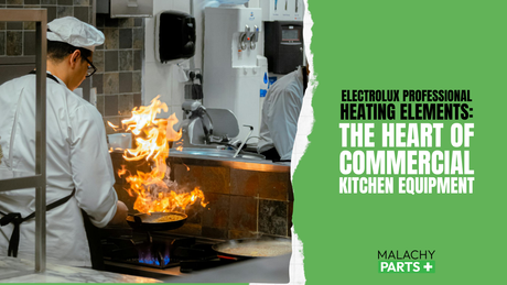 Electrolux Professional Heating Elements: The Heart of Commercial Kitchen Equipment