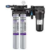 Everpure EV979722 KLEENSTEAM II TWIN